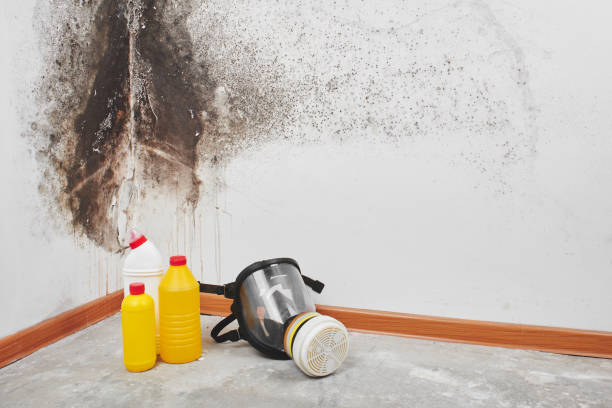 Best Commercial water damage restoration  in Pomona, NY